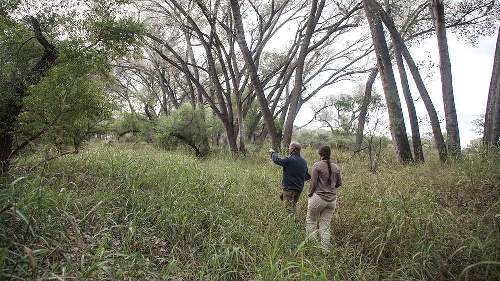 Two people birding in San Pedro Riparian Habitat in Cochise County, Arizona