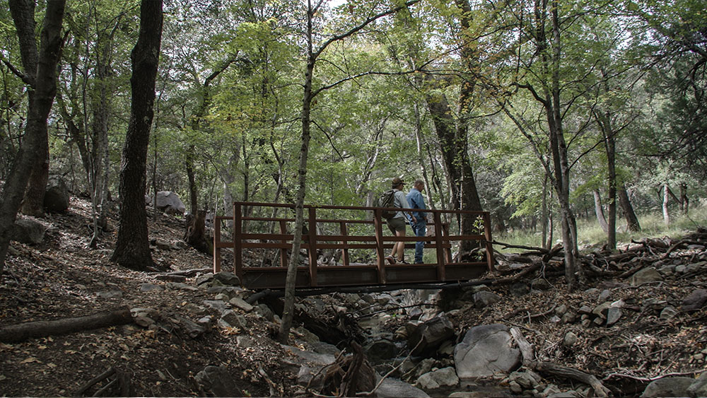 Birders hiking on a bridge in Cochise County, Arizona