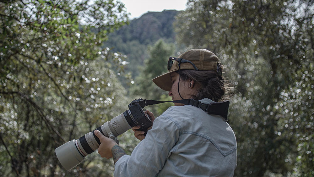 Photographer looking at photo taken while birding in Cochise County, Arizona