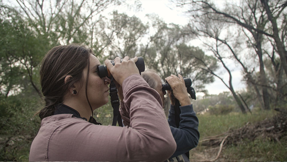 Two birders looking through binoculars in Ramsey Canyon, Cochise County, Arizona